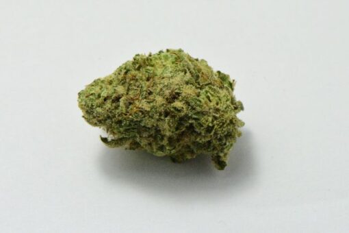 BEAR DANCE $180 PER OUNCE