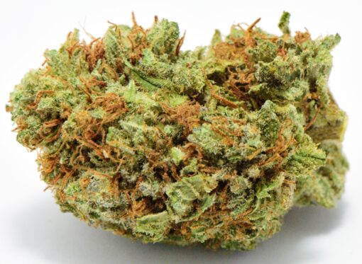 DAISY DUKE $124 PER OUNCE