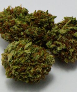 DAISY DUKE $124 PER OUNCE