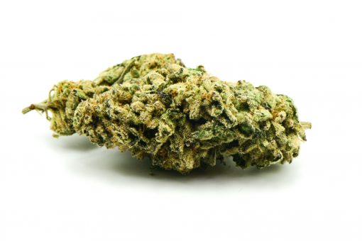 CHAMPAGNE KUSH AAA+++ $159 PER OUNCE