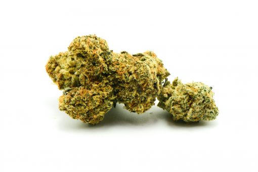 PLATINUM JACK AAA+++ $159 PER OUNCE