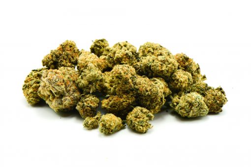 PLATINUM JACK AAA+++ $159 PER OUNCE