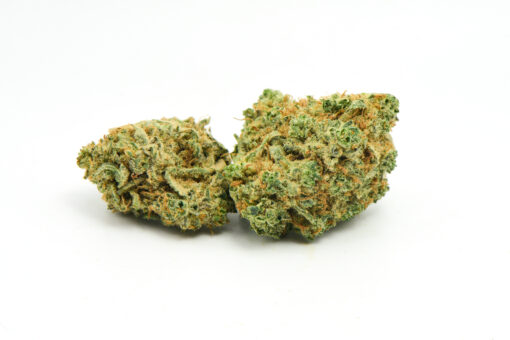 SOUR AMNESIA HAZE AAA $119 PER OUNCE