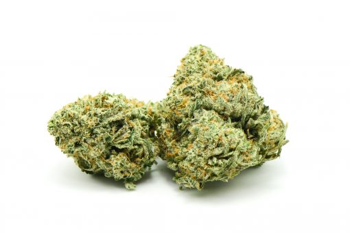 TRI-STAR AA++ $79 PER OUNCE