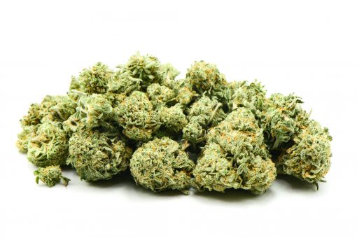 TRI-STAR AA++ $79 PER OUNCE