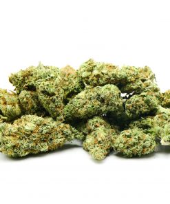 BUBBLEGUM SHERB AAA+++ $119 PER OUNCE