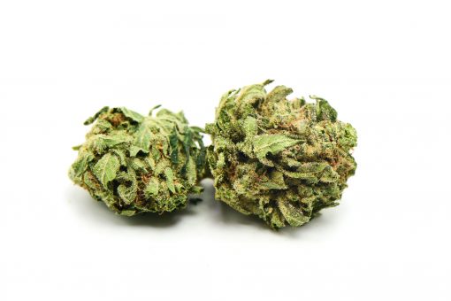 ZOMBIE KUSH GREENHOUSE AA++ $59 PER OUNCE ***PROMO CODE DOES NOT APPLY TO THIS PRODUCT***